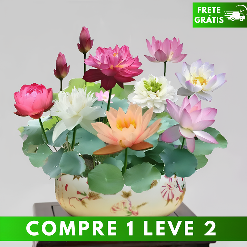 Flor de Lótus Bonsai - 🌸 A Sagrada (Compre 1 Leve 2)
